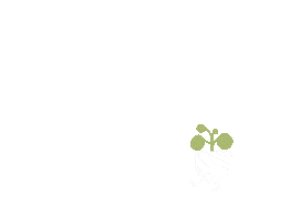 Walking Plant Sticker