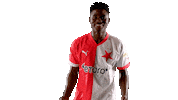 Football Soccer Sticker by SK Slavia Praha