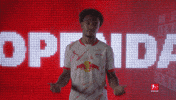 Come Rb Leipzig GIF by Bundesliga
