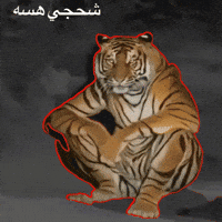 ميمز GIF