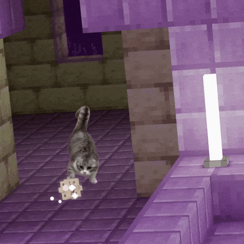 SingNO2 giphyupload komaru minecraft cat GIF