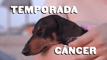 Temporada CΓ‘ncer