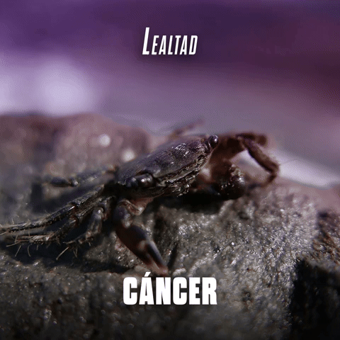 Lealtad CΓ‘ncer