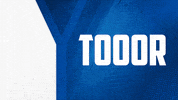 2 Bundesliga Football GIF by Karlsruher SC