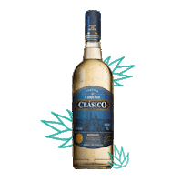 Summer Friday Sticker by PFA Tequila