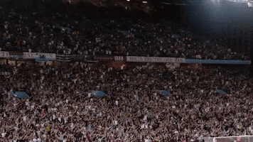 Premier League Singing GIF by Aston Villa FC