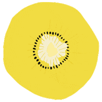 emasae pop fruits kiwi emagif Sticker