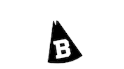 Polar Bears Class Of 2021 Sticker by Bowdoin College