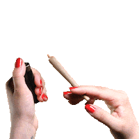 weed marijuana Sticker by nic a