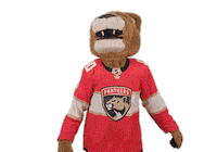 Ice Hockey Sticker by NHL