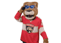 Ice Hockey Sticker by NHL