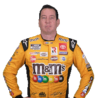Swipe Up Kyle Busch Sticker by Joe Gibbs Racing