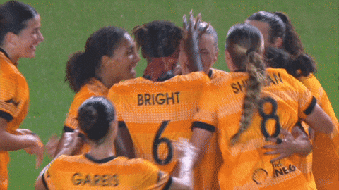 2025 GIF by National Women's Soccer League