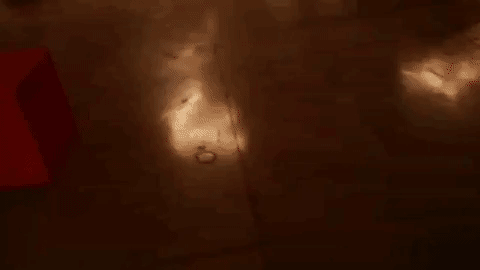 irlcam GIF by MANGOTEETH