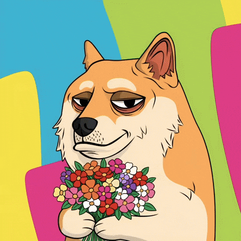 Shiba Inu Dog GIF by Doge Pound