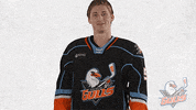 Whats Up Nhl GIF by San Diego Gulls