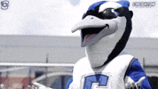 Billy Bluejays GIF by Creighton University Athletics