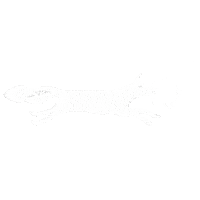 Fox Ring Sticker by Connecticut Landmarks