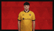 Dynamo Dresden Football GIF by Bundesliga