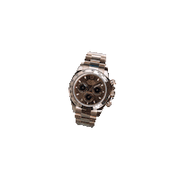 watchcrazeau money time power gold Sticker
