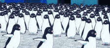 Animation Japan GIF by All The Anime — Anime Limited