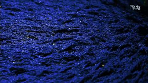 materiality tracks arte GIF