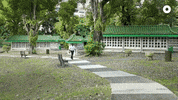 GIF by Our Grandfather Story