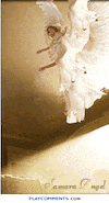angel GIF