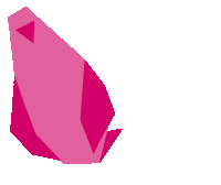 Pink Flying Sticker by Editions Jocatop