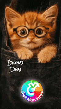 Good Morning Feliz GIF by Murcianys LLC