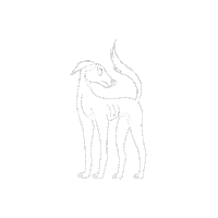 Dog Fear Sticker by Captura