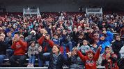 umassamherst sports football hockey athletics GIF