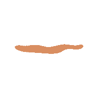 Orange Line Sticker by Apo
