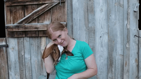 delciplouffe giphyupload GIF