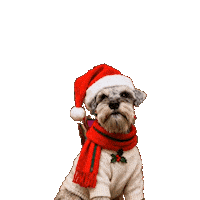 Dog Mister Sticker