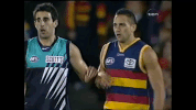 Afl Memories GIF by Adelaide Crows