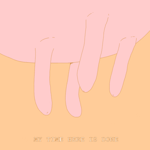 Vegan Cow GIF by sarahmaes