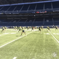 gbvssea GIF by NFL