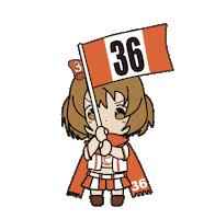 Racing Flag Sticker by Entowa's