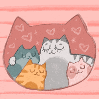 GIF by jessthechen