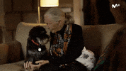 Mercedes Mila Animal Love GIF by Movistar Plus+