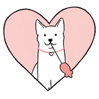 Valentines Day Love Sticker by ManyPets UK