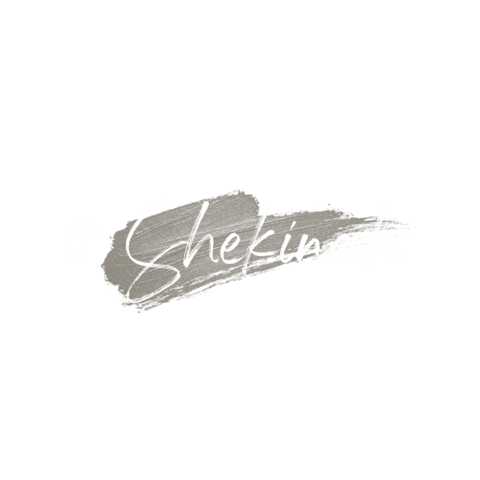 rccdiocesejacarezinho juventude rcc shekinah jacarezinho Sticker