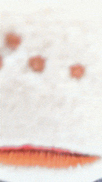 Plushies GIF by Youtooz