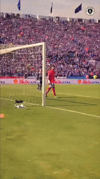 Esteban Paredes Herrera GIF