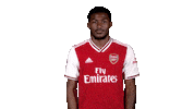 arsenal football soccer celebration celebrate Sticker