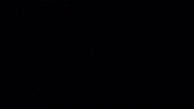 nku nkunorse GIF by Northern Kentucky University Athletics
