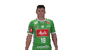 Handball Gwdminden Sticker by GWD Minden Handball-Bundesliga GmbH & Co.KG