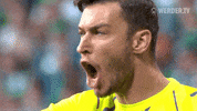 Football Soccer GIF by SV Werder Bremen