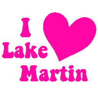 LaceyHowell remax alabama summer fun summerfun Sticker